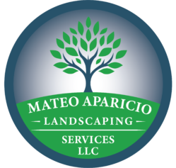 Landscaping logo with a tree and Mateo Aparicio Landscaping Services LLC